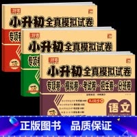 小升初真题模拟[语文+数学+英语] 小学升初中 [正版]2024新小升初真题卷语文数学英语必刷题人教版小学毕业升学总复习
