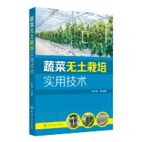 音像蔬菜无土栽培实用技术彭世勇等 编著