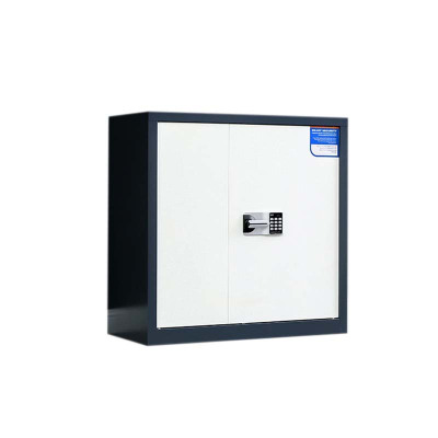 湘渭保密柜财务档案柜文件柜办公室资料储物柜保险柜矮柜灰白-国保密码锁