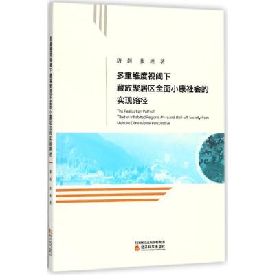 正版新书]多重维度视阈下藏族聚居区全面小康社会的实现路径唐剑