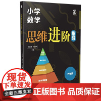 小学数学思维进阶·指导(六年级)