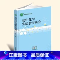 16开黑白 [正版]新书初中化学实验教学研究 YZC