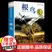 正版曹根鸟 纯美小说集曹系列课外阅读书籍 经典作品配套课本儿童文学获奖作品四五六年级小学生少儿读物