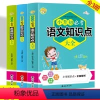 [3册]小升初语数英知识 [正版]2024小升初必考知识点大全总复习 小学数学语文英语知识大全集锦一至六年级知识大盘点小