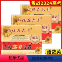 高考真卷[语文+数学+英语]3本 灿烂在六月系列 上海高考真卷+模拟卷 [正版]2024版灿烂在六月上海高考真卷语文数学