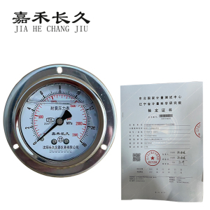 嘉禾长久 耐震压力表轴向带边(带辽宁省级检定证书)YTN60ZT 块