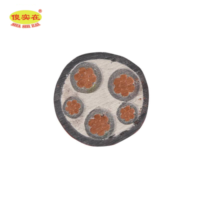 傻实在 电缆 国标全项保检 ZC-YJV 3*25mm²+2*16mm² 米