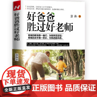 好爸爸胜过好老师 正版书籍