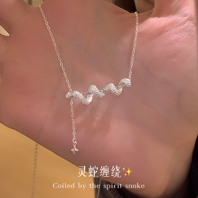 蛇年纯银缠绕灵蛇流苏项链女高级感轻奢锁骨链小众设计感银饰送女朋友老婆情人节七夕生日礼物