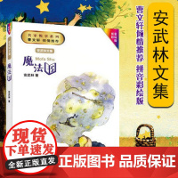 [魔法书]安武林文集拼音美绘版二三年级课外阅读书籍听有声的童话故事书 小学生语文课外配套阅读 安武林的书正版fbx
