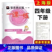 英语 四年级下 [正版]2024华东师大版一课一练 英语N版 四年级第二学期/4年级下 上海牛津版配套教辅 华东师范大