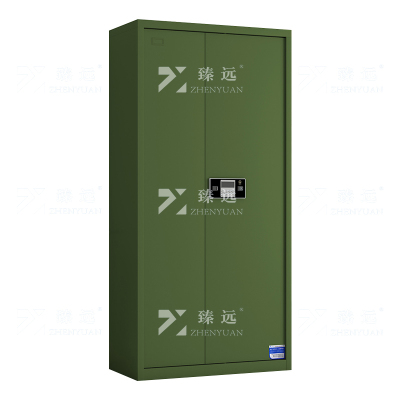 臻远 ZYJJ-80072 保密柜 绿色通门电子锁 长900*宽420*高1850 单位:1台