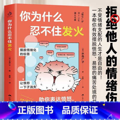 [正版]你为什么忍不住发火 人际关系疗法心理状态疗愈摆脱情绪困扰 助你表达愤怒 而不是愤怒表达做自己的心理医生 静心放下