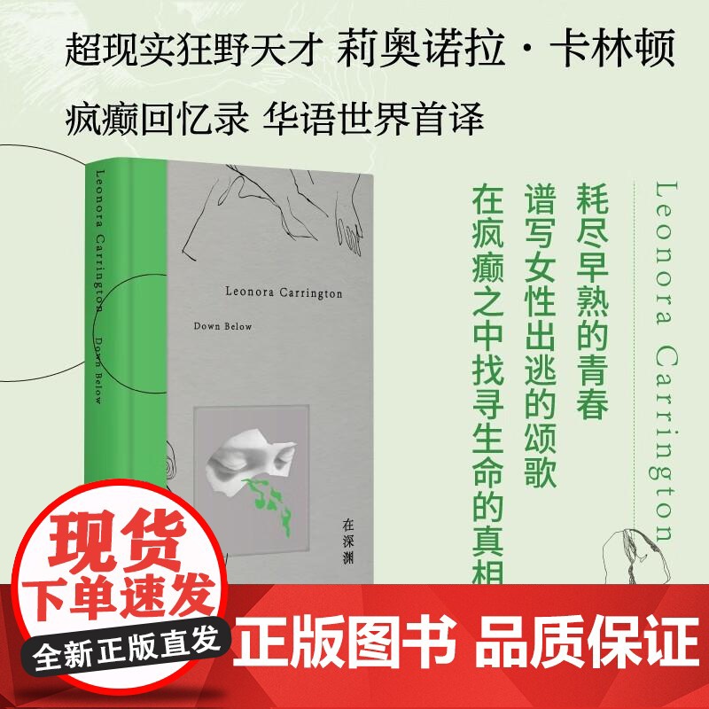 在深渊 托卡尔丘克、安吉拉·卡特的读者不能错过的文学天才卡林顿回忆录 一份关于疯癫的珍贵证词 探索人类精神疾病的杰作