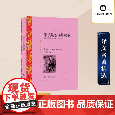 []钢铁是怎样炼成的 [俄]奥斯特洛夫斯基 著 王志冲 译 中学生书目 人的一生应该这样度过 上海译文出版社 正版书籍