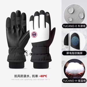 手套女冬季2023新款加绒加厚保暖防寒可触屏男防风电动车滑雪手套