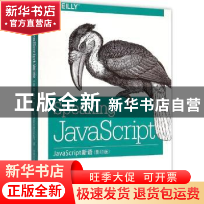 正版 JavaScript新语 Axel Rauschmayer著 东南大学出版社 978756