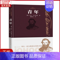 [正版]全新 青年/列夫.托尔斯泰自传体小说 文学/现代/当代文学 9787020147212