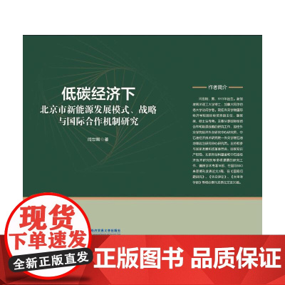 低碳经济下北京市新能源发展模式、战略与国际合作机制研究