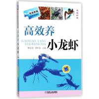 高效养小龙虾(高效养殖致富直通车)