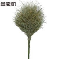 金龙航 竹扫把