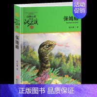 保姆蟒 [正版]野犬女皇沈石溪小学四年级五年级全集全套书浙江少年儿童出版社非注音版完整版动物小说大王品藏书系小学生课外阅
