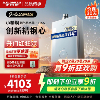 史密斯佳尼特[小精钢TJS5]16升增压零冷水燃气热水器 国家补贴 JSQ31-TJS5 安全守护 持久恒温 新品