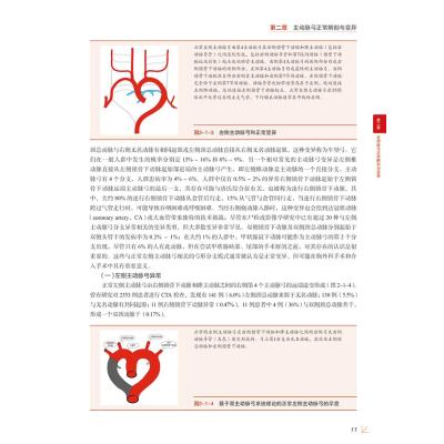 脑血管变异DSA图谱及临床实例解析(精)