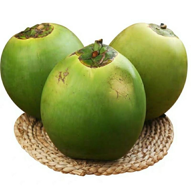 赛卡伊 海南文昌新鲜椰子三亚当季现摘带皮大椰青水果青耶子天然椰汁