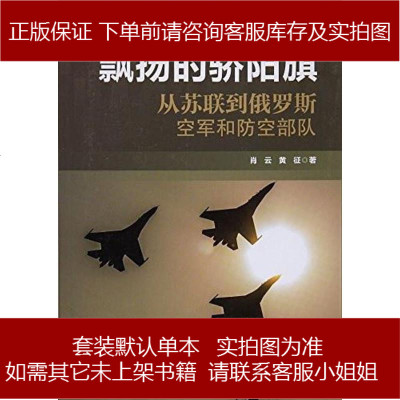 飘扬的骄阳旗肖云/黄征航空工业出版社9787516509340