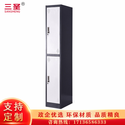 三圣 办公家具套色储物柜铁皮挂衣柜钢制柜子单列二门更衣柜办公柜380*450*1800mm