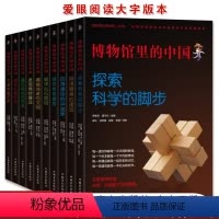 博物馆里的中国[全10册大字版] [正版]博物馆里的中国全套10册 大字版 中国博物馆协会向全国青少年图书中小学生9-1