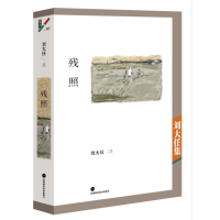 音像残照(美)刘大任