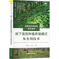 正版新书]林下高效种植养殖模式及实用技术陈泽雄,吕玉奎 编9787