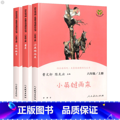 [全3册]爱的教育+童年+小英雄雨来 六年级上册 [正版]快乐读书吧六年级上册小英雄雨来爱的教育童年高尔基人教版全套 人