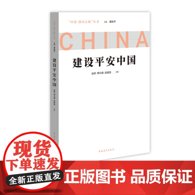 建设平安中国 问道强国系列丛书 解码中国式现代化 中国青年出版社