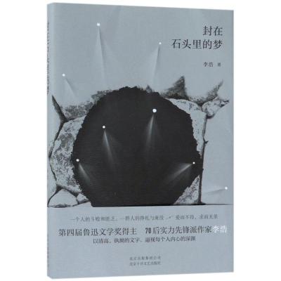 正版新书]封在石头里的梦李浩 著9787530217375