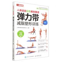 [N]弹力带减脂塑形训练/人体运动彩色解剖图谱系列-9787115553768