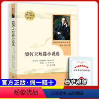 九下选读 契诃夫短篇小说选 [正版]原著九年级上册必读课外书艾青诗选水浒传人民教育出版社初三上册同步课外书名著阅读选聊斋