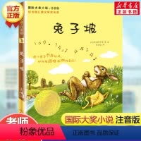 兔子坡 [正版]爱上读书的妖怪 国际大奖小说升级版 小学生三四五六年级儿童文学青少年校园励志故事书课外书阅读班主任读物