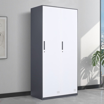 创世人 办公家具拆装办公更衣柜咖色铁皮柜2门更衣柜员工宿舍换衣柜带锁衣帽柜储物柜子