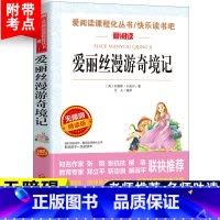[六下]爱丽丝漫游奇境记 [正版]老师力荐汤姆索亚历险记爱阅读快乐读书吧小学生语文课外自主阅读书三四五六年级文学名著阅读