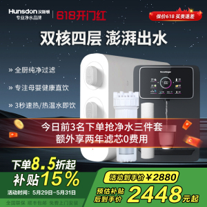 汉斯顿/Hunsdon家用0阻垢剂净水器管线机套装厨下式净饮机RO反渗透净水机过滤器母婴直饮厨房纯水机D3
