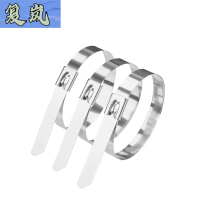 复岚 不锈钢扎带 4.6*700mm/包