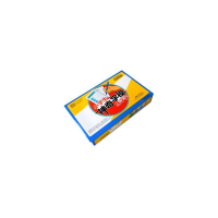 音像小学生字模练字宝(全4册)孙鸿涛 编