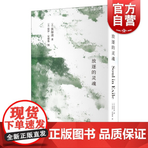 放逐的灵魂 张如凌诗歌选集上海人民出版社 另著中国红/法国蓝/红蓝如凌 中国现当代诗歌