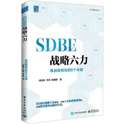 [N]SDBE战略六力(将战略做实的6个关键)/SDBE管理实践丛书-9787121458385