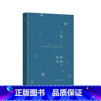 [正版]低温下的美 王寅诗歌集 摄影 华东师范大学出版社