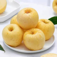 [鲜贝达]精选维纳斯黄金苹果5斤装大果新鲜水果