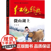 [平装]红色经典微山湖上中国红色儿童文学经典系列小学生四五六年级课外书少年励志红色经典书籍革命传统爱国主义教育读本